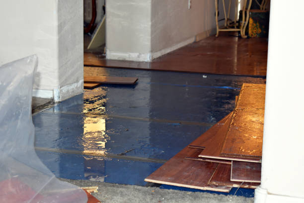 Professional Sewage Cleanup technician working in Hubbardston, MI